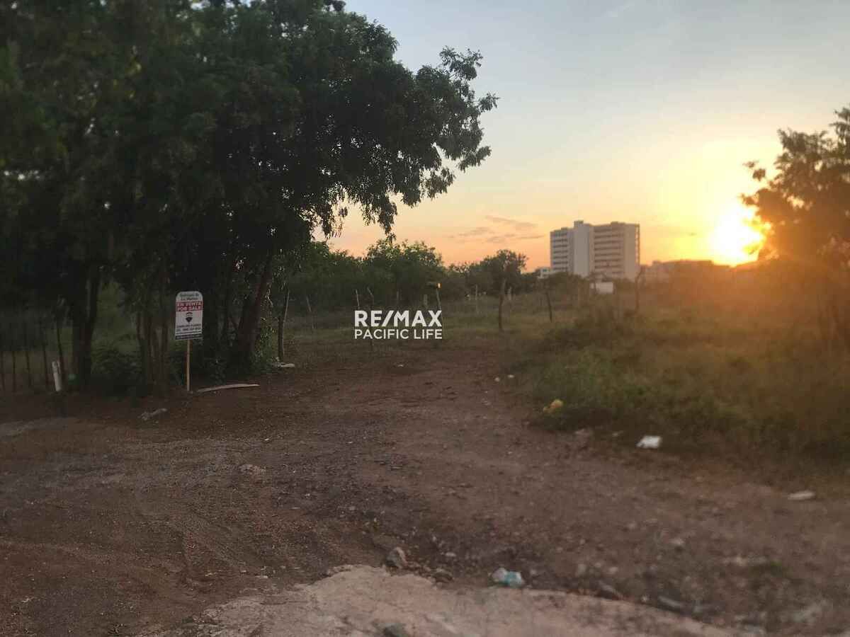 5 de 11