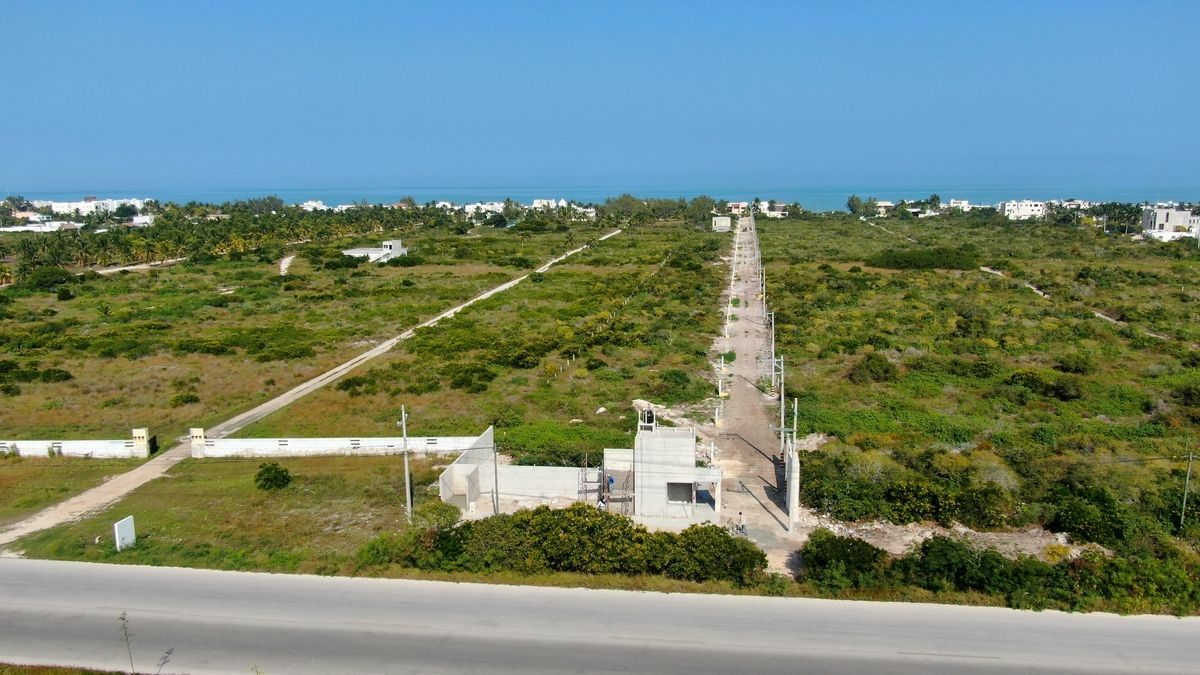 3 de 6: A pie de la carretera costera
