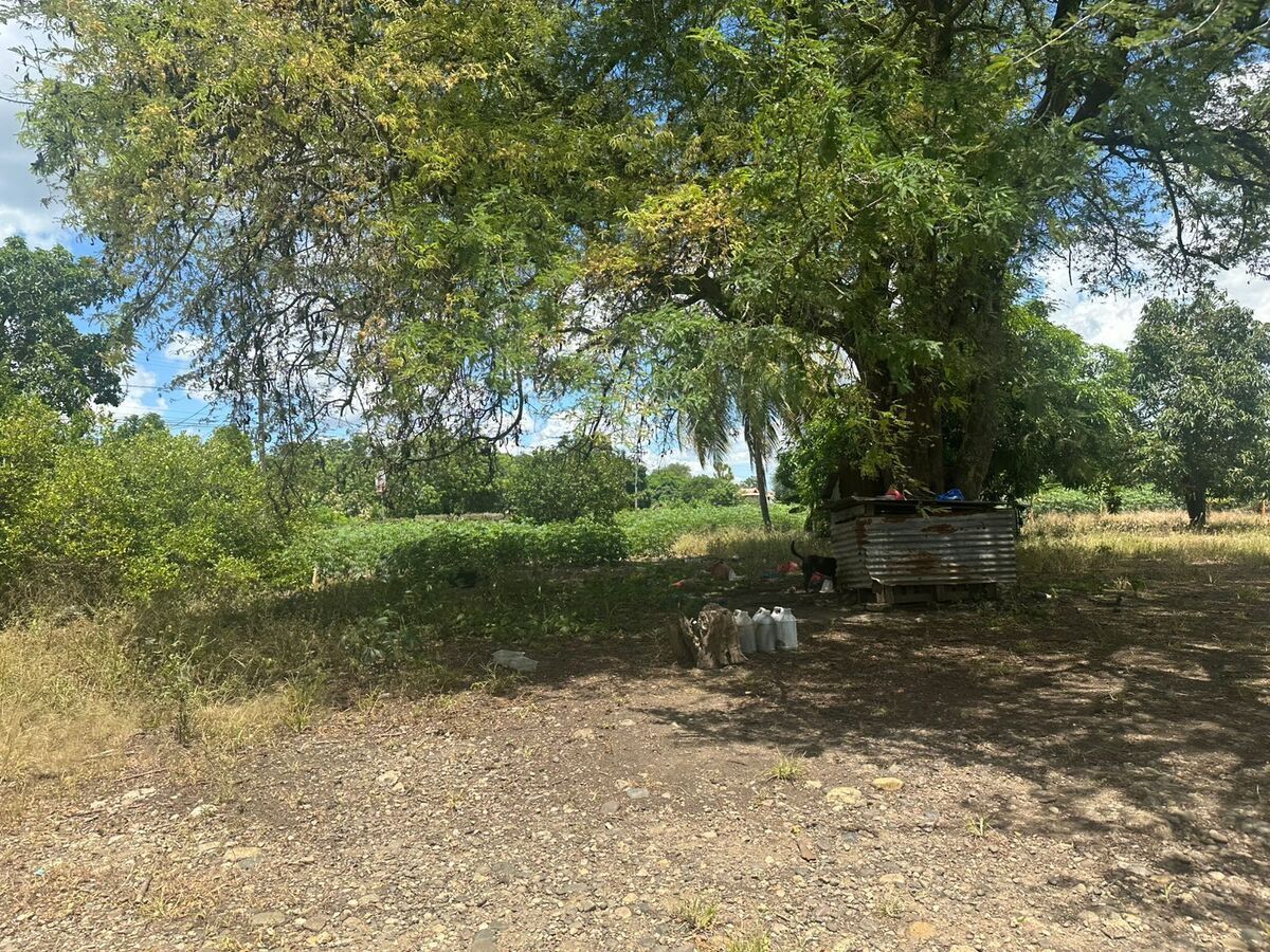 4 de 7