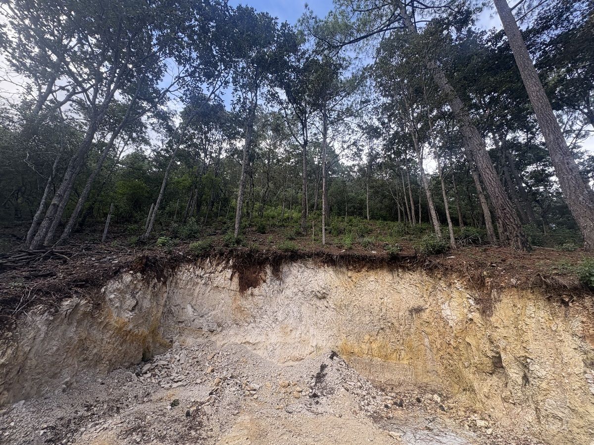 7 de 7: Terreno trabajado con máquina