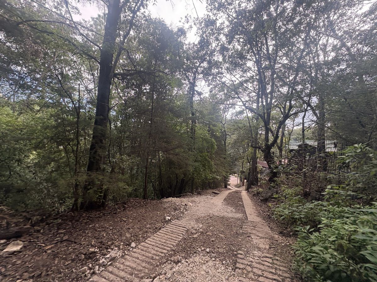 3 de 7: Rodadas en todo el camino