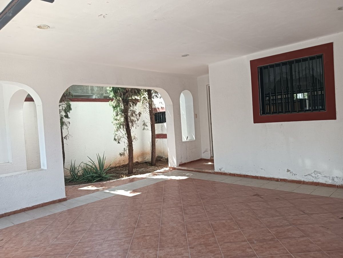 3 de 19
