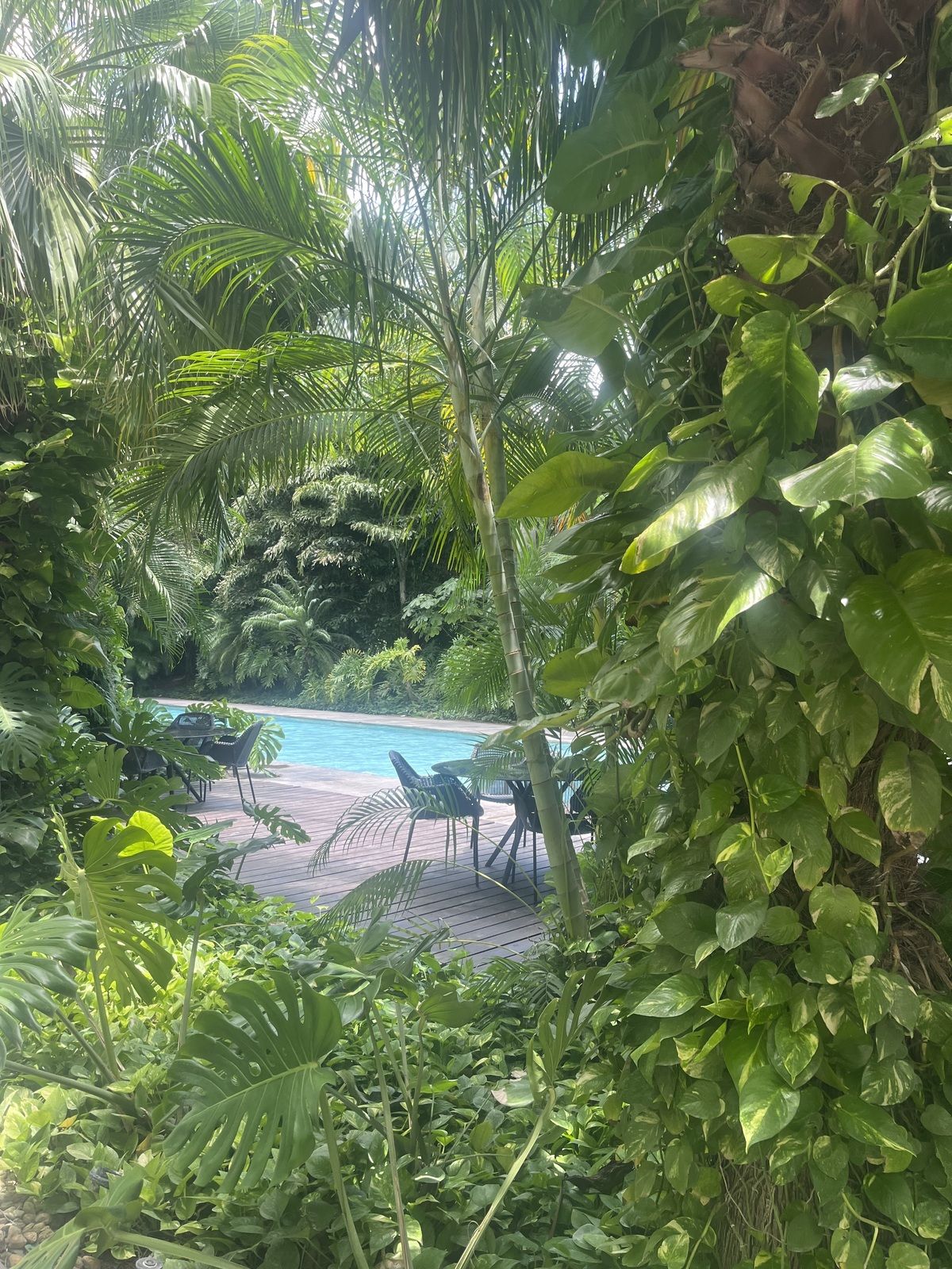 9 de 16