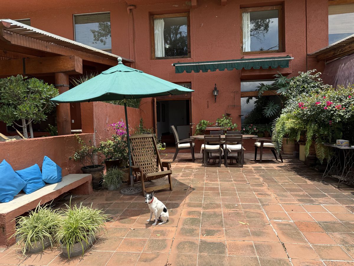 4 de 39: Terraza