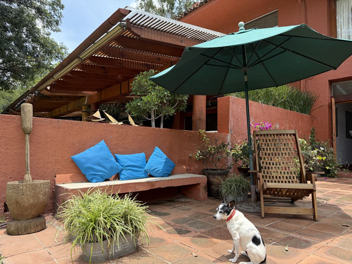 5 de 39: Terraza