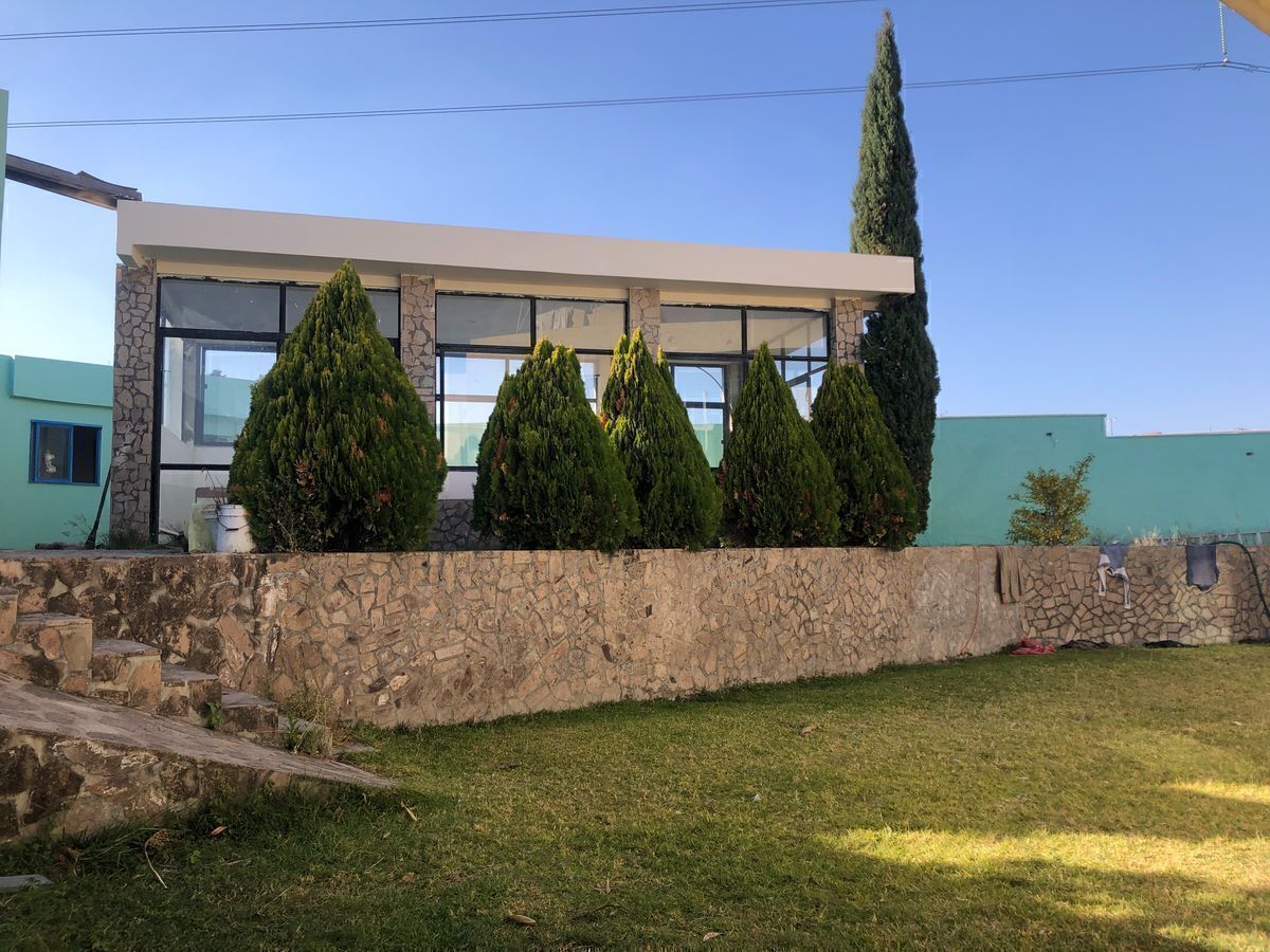 6 de 50