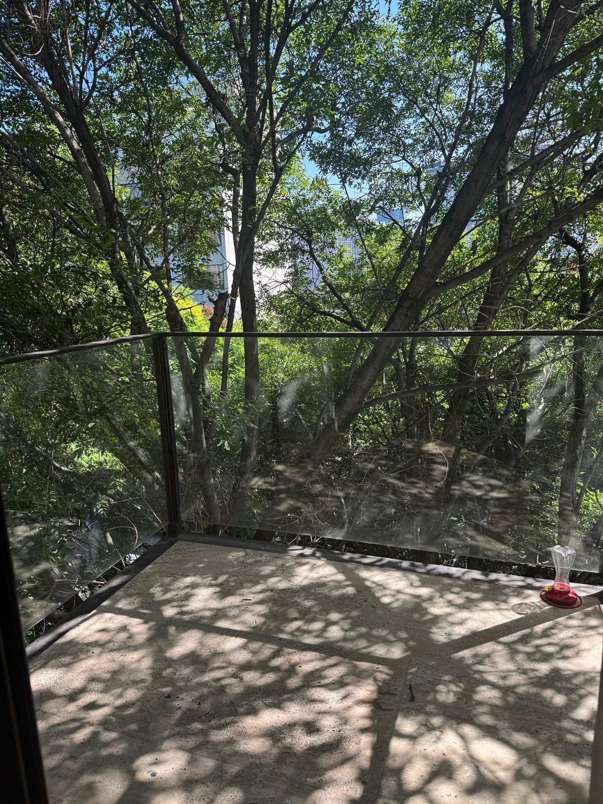 2 de 14