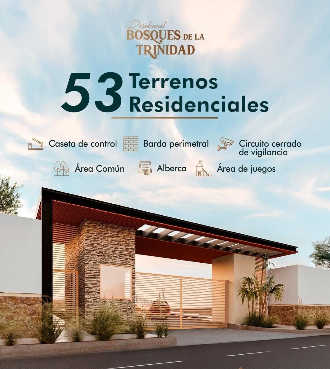 19 de 20