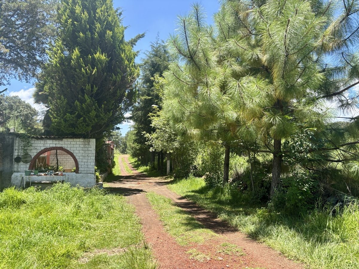 2 de 6