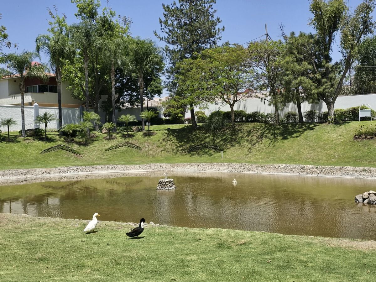 27 de 28