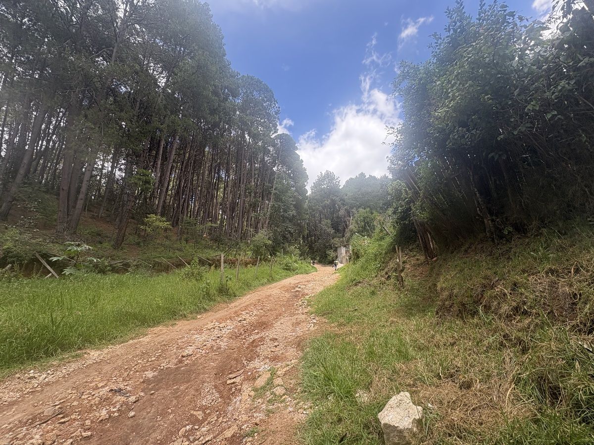 1 de 7: Vista panorámica desde el  terreno