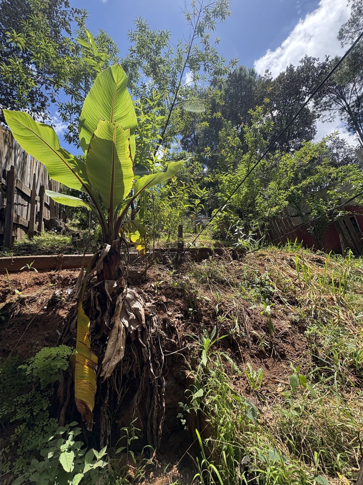 2 de 7: Terreno en pendiente