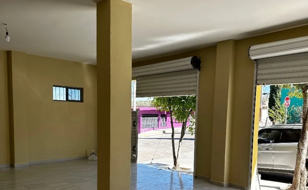 3 de 6
