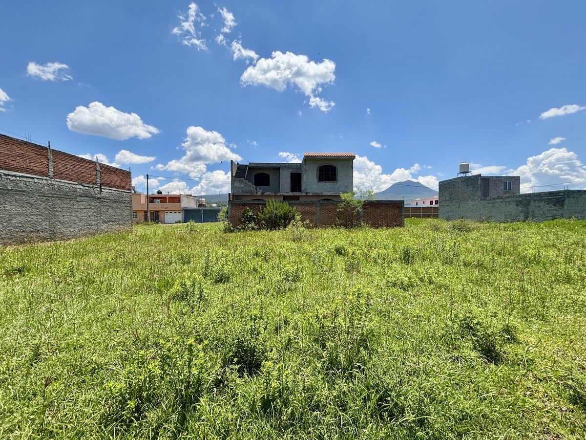 5 de 7