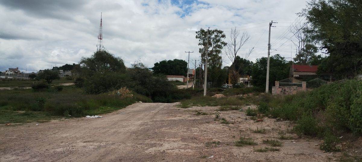 4 de 20