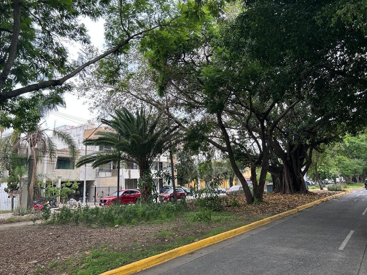 4 de 4