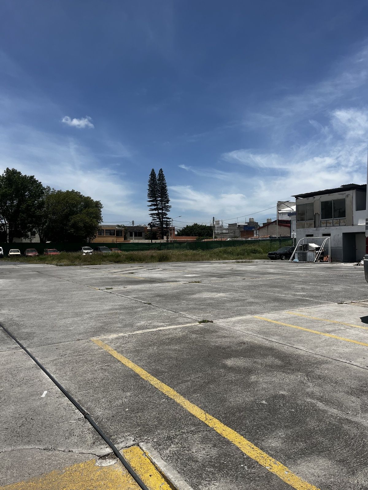 3 de 7