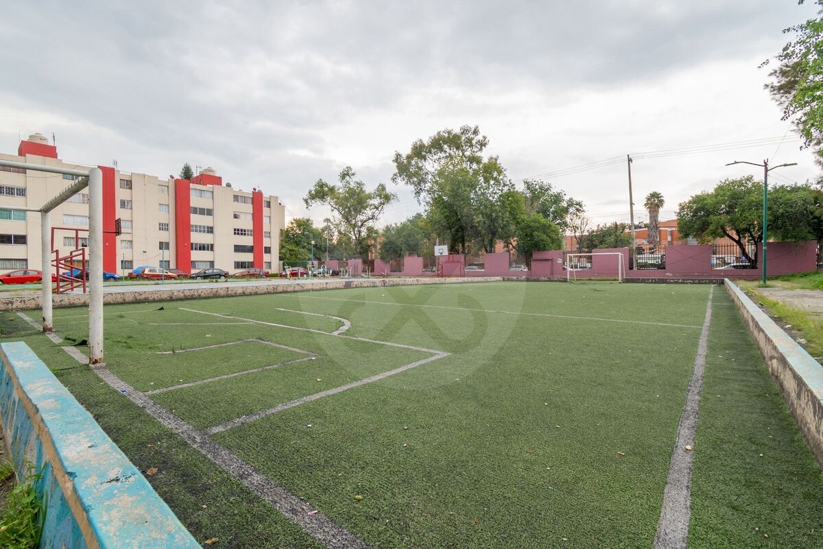 5 de 19
