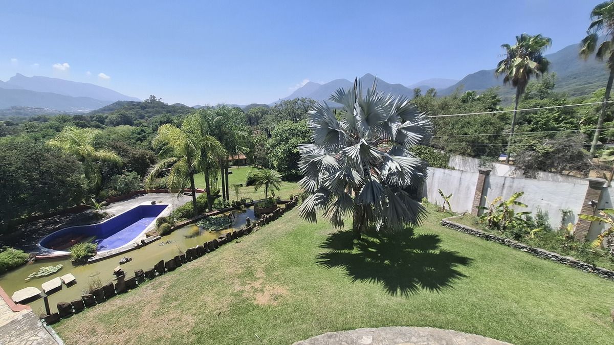 29 de 36