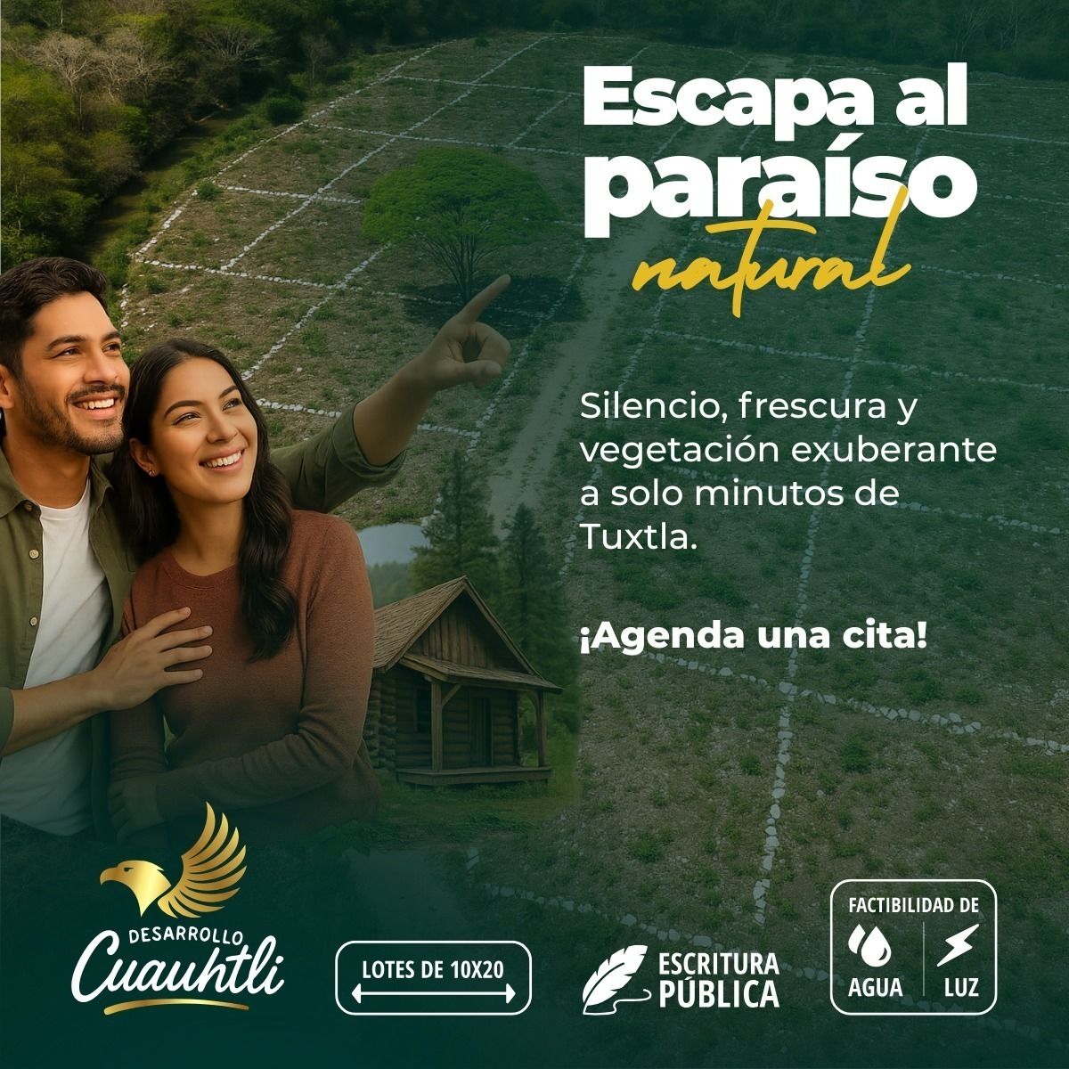 5 de 11