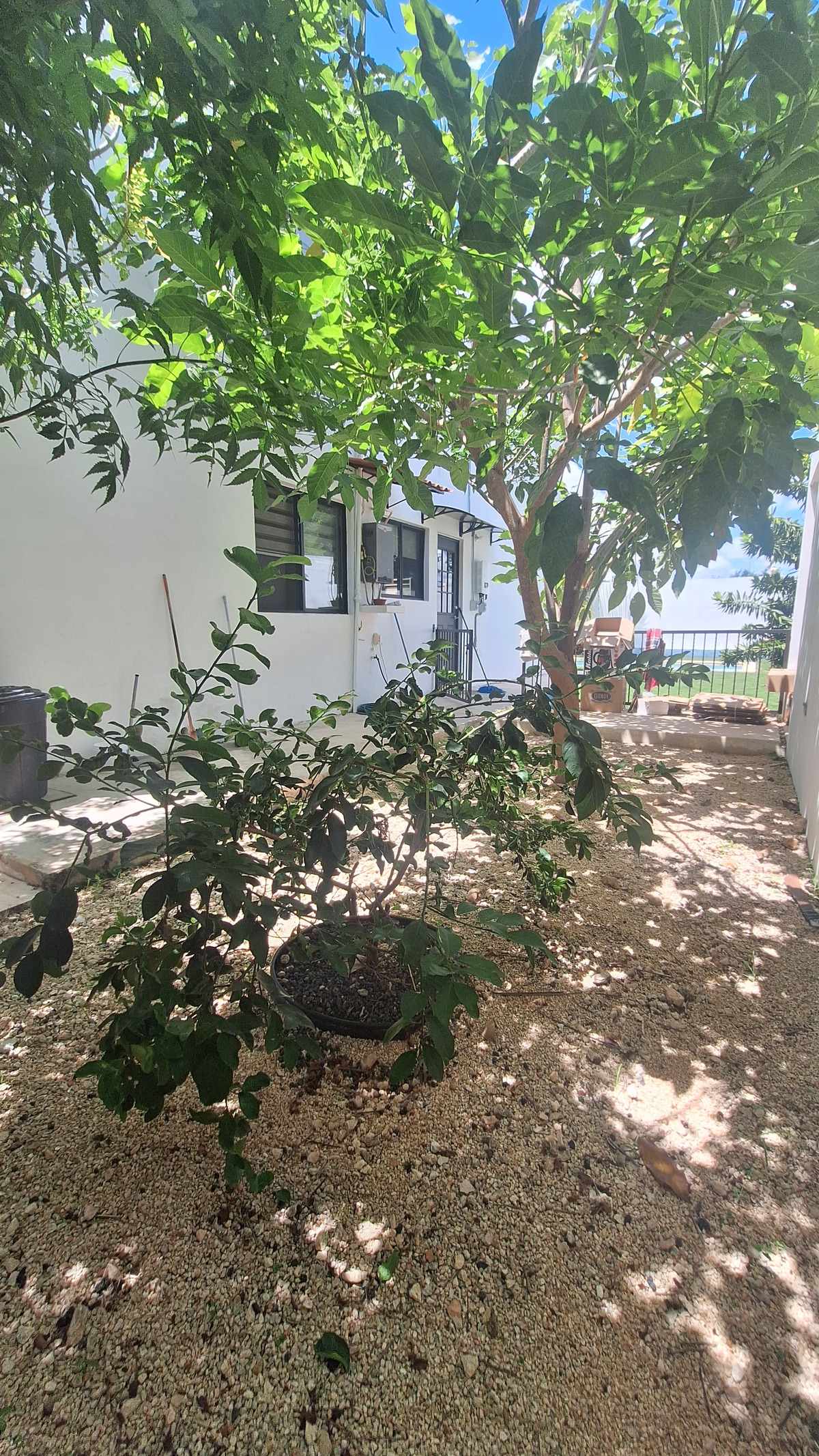 16 de 44