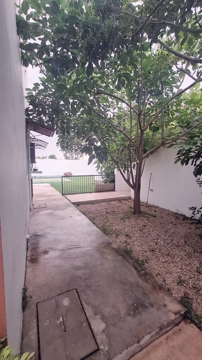 19 de 44