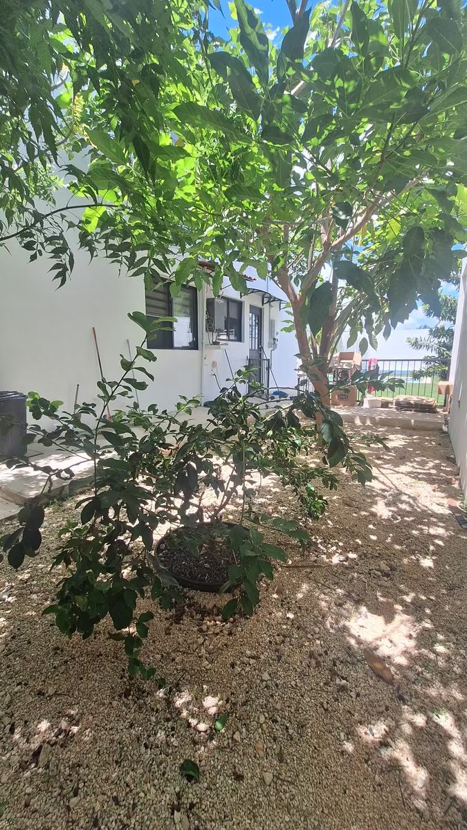 38 de 44
