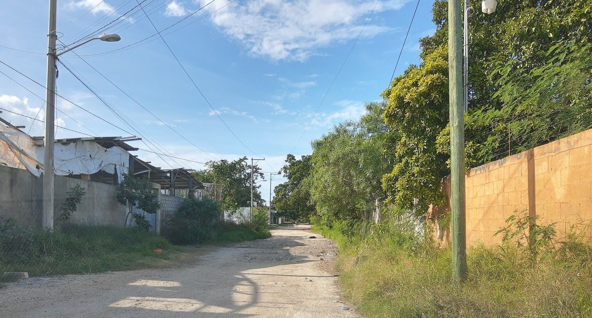 7 de 15