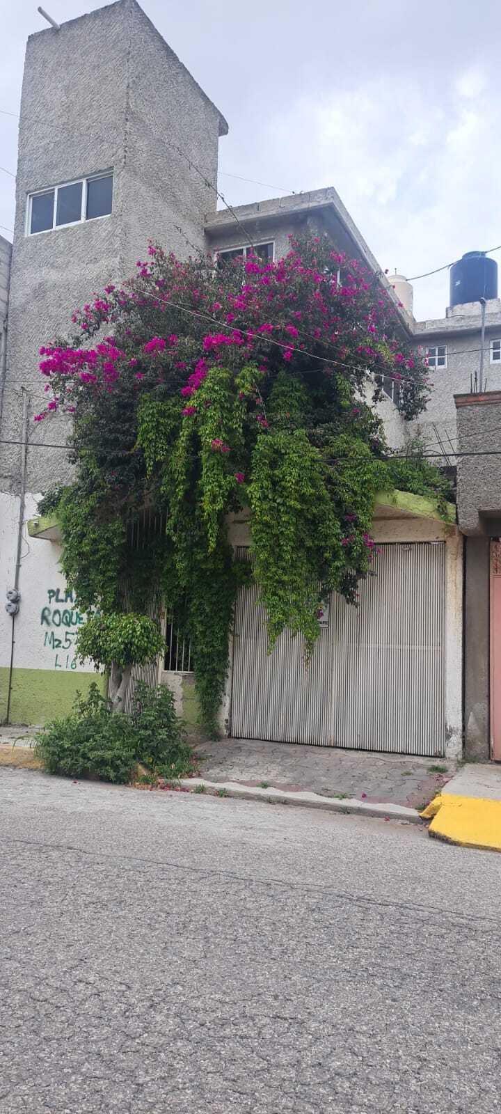 1 de 17