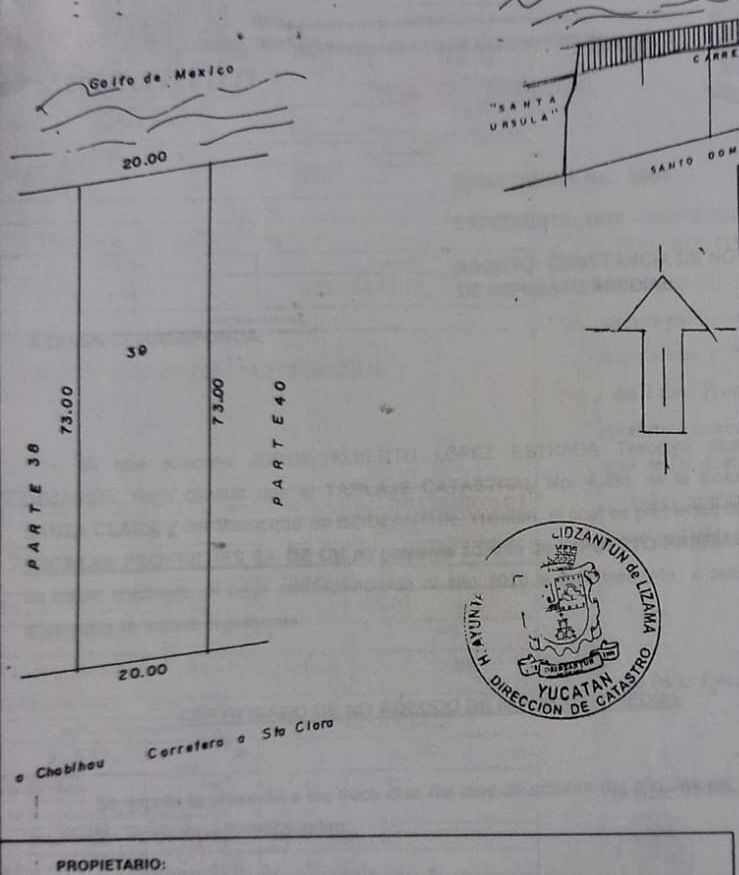 4 de 8