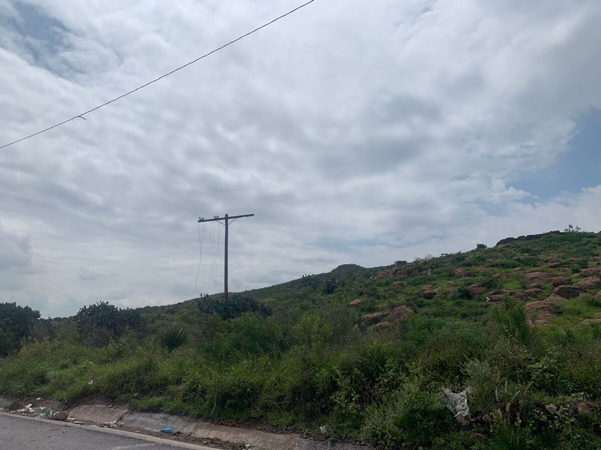 5 de 7