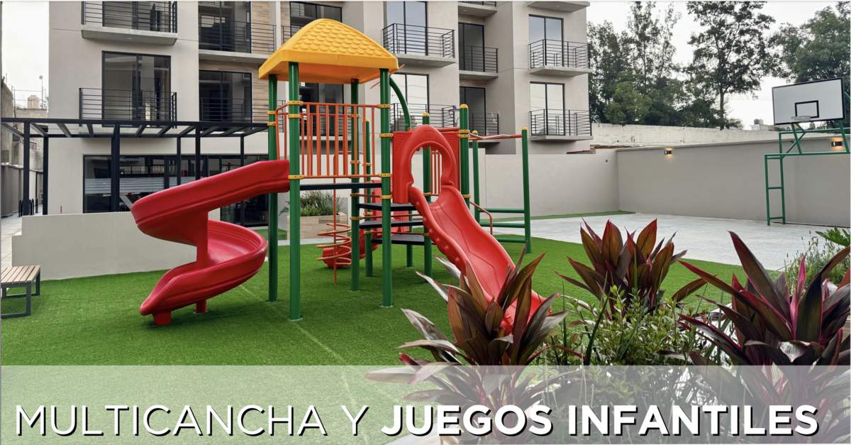 11 de 11
