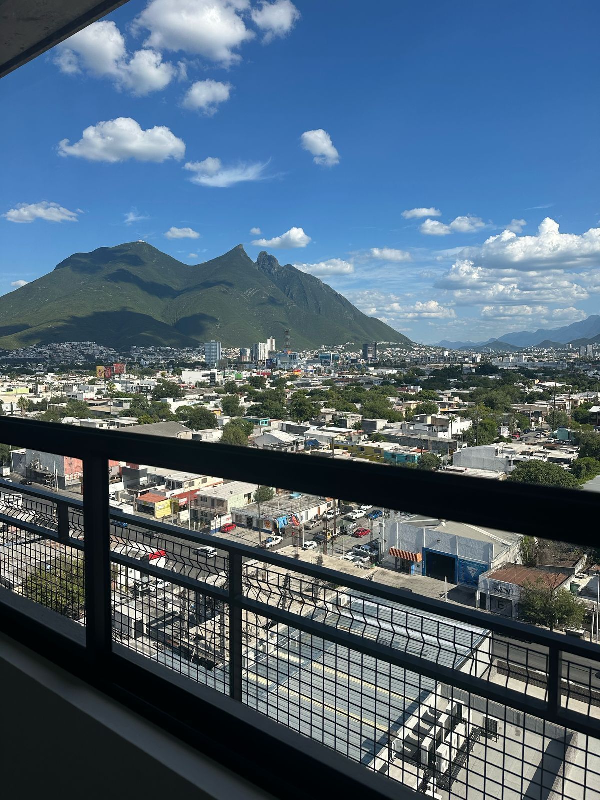 3 de 6