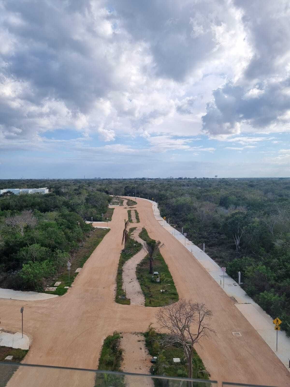 5 de 24