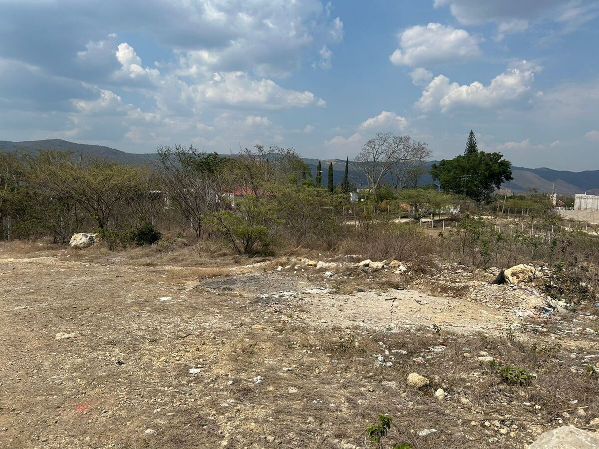 13 de 16