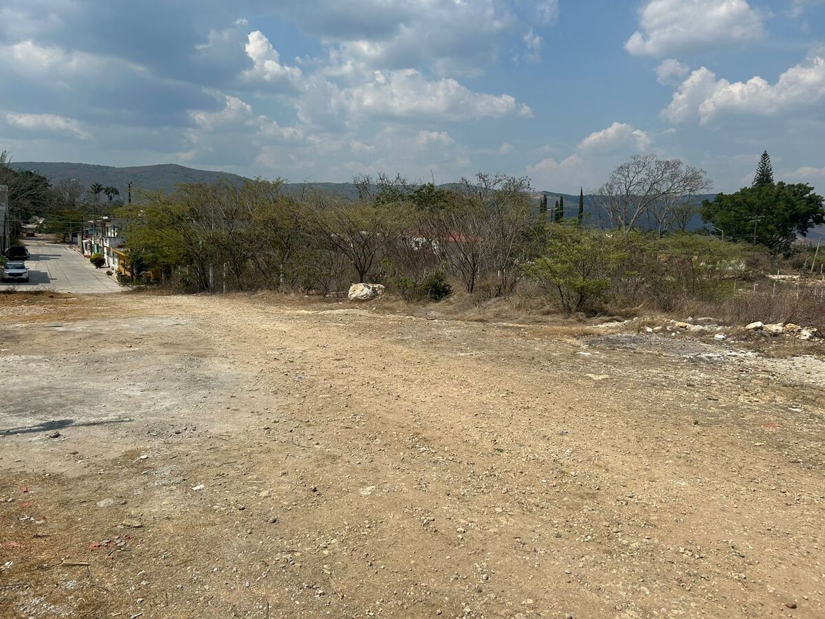 14 de 16