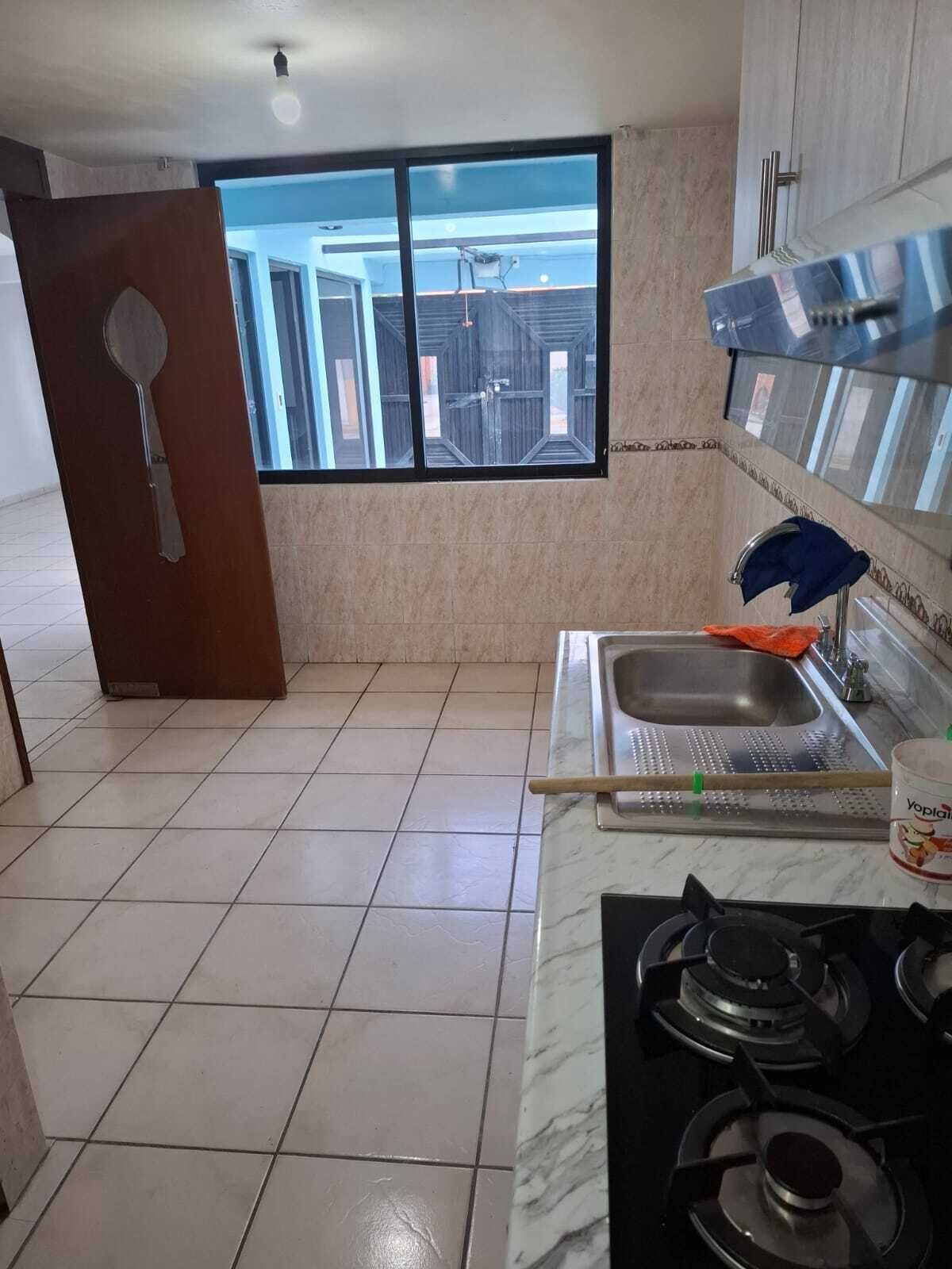 19 de 48