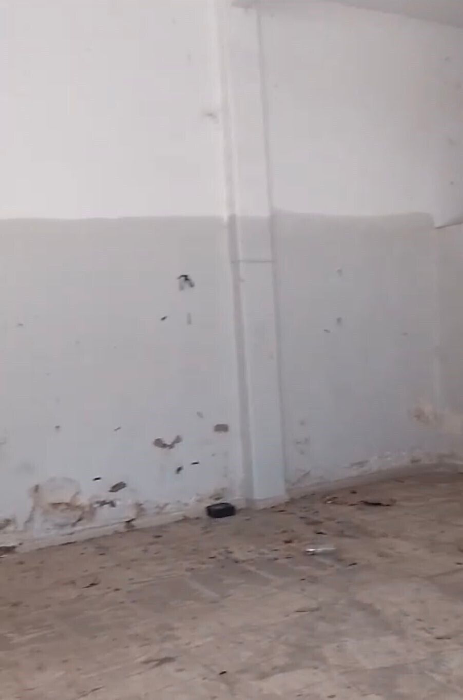 10 de 13