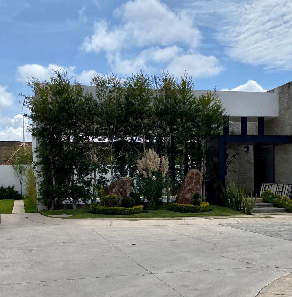 20 de 26