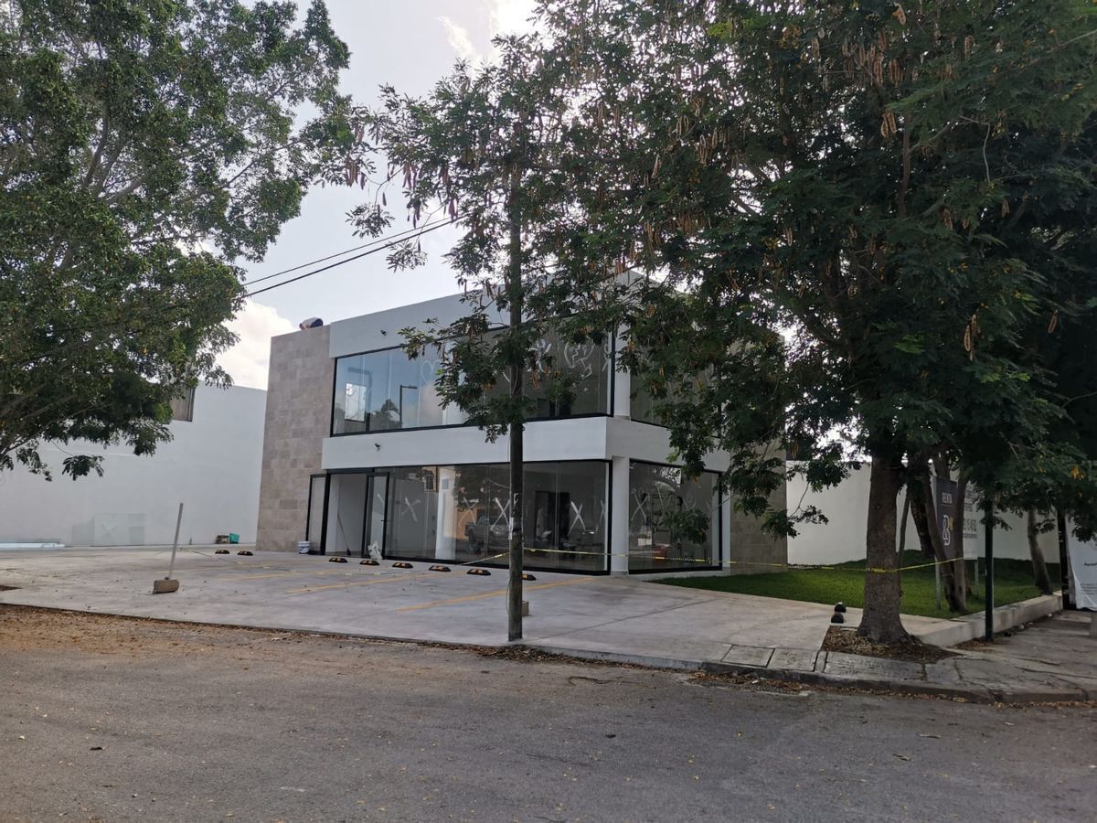 4 de 13