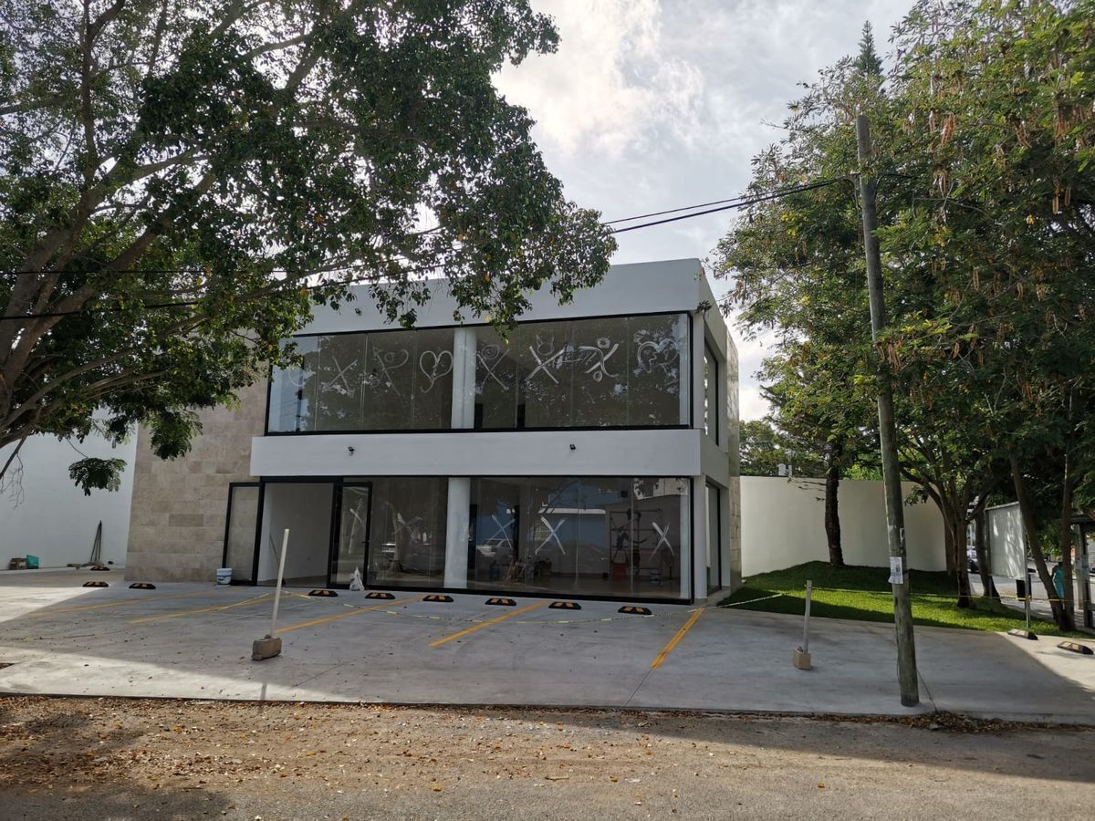 6 de 13