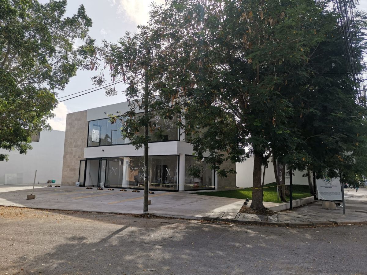 7 de 13