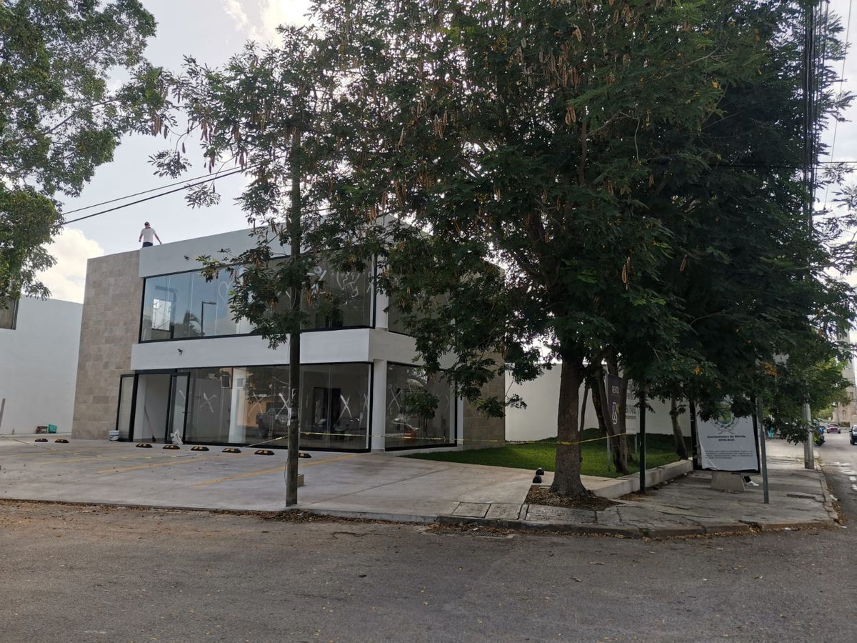 8 de 13