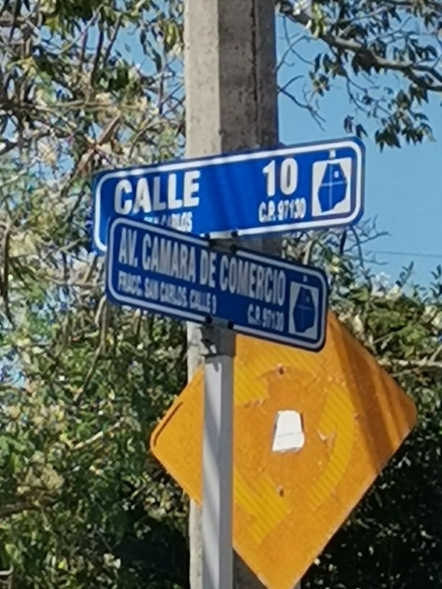 12 de 13