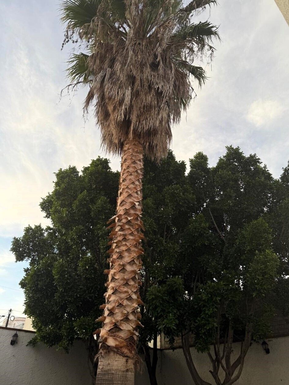 6 de 21: Jardín