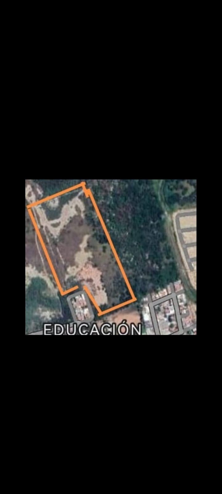 6 de 13