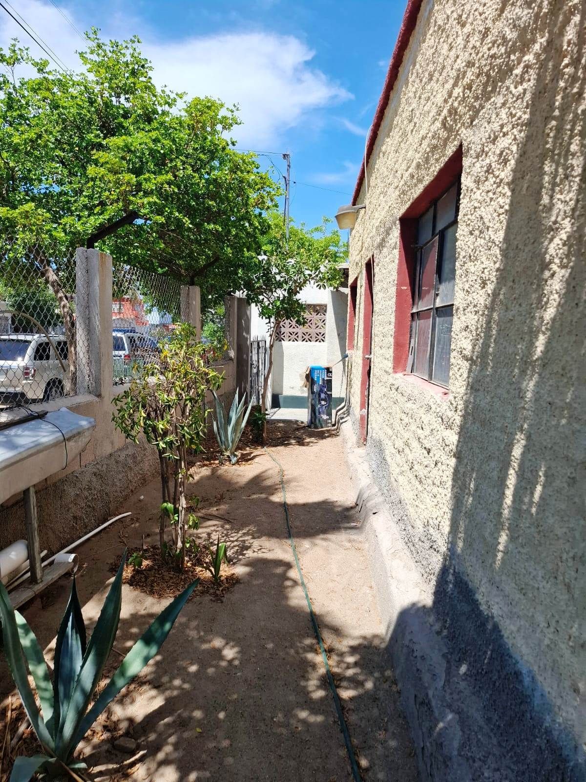 23 de 23