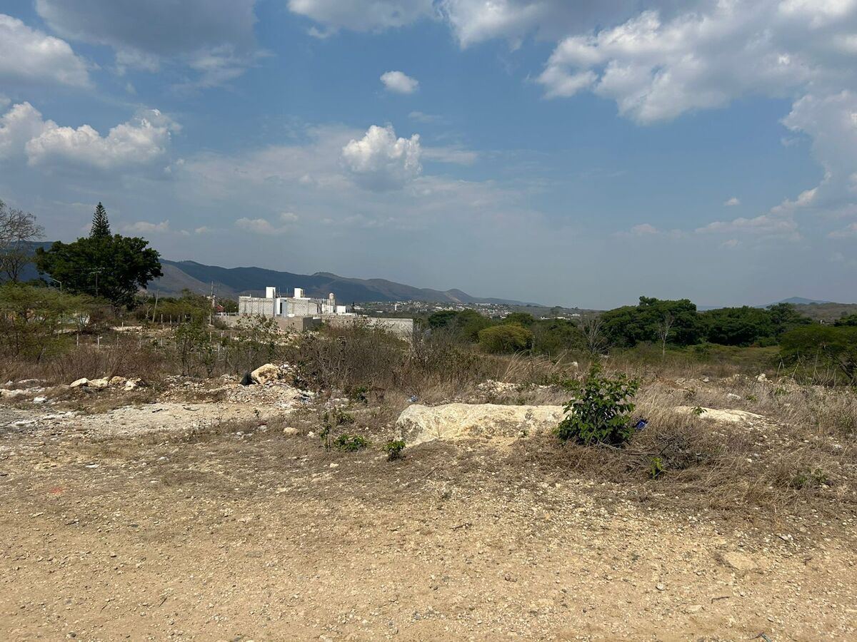 14 de 16