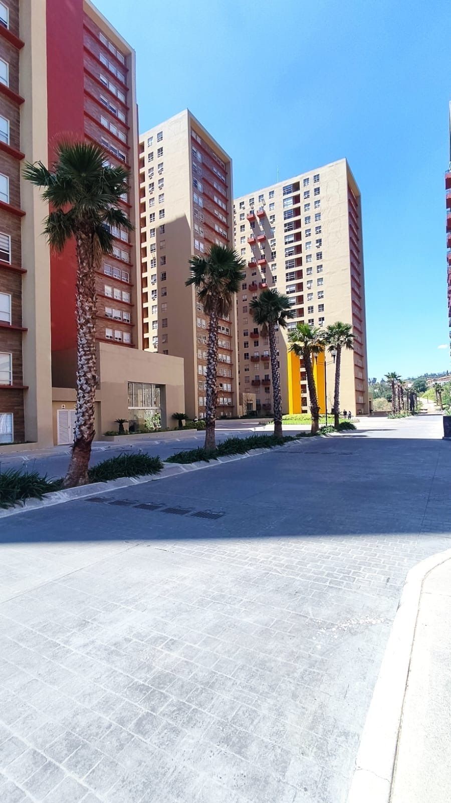 2 de 31