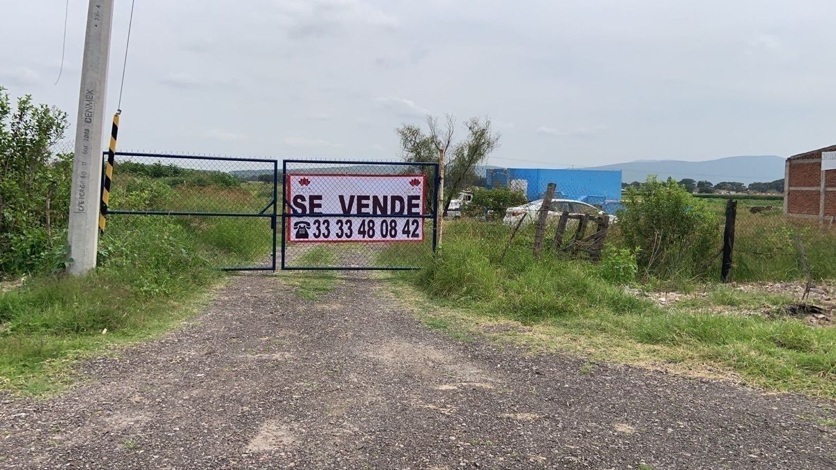 7 de 18